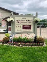 wyandotte adoption center