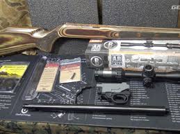 ruger 10 22 target build