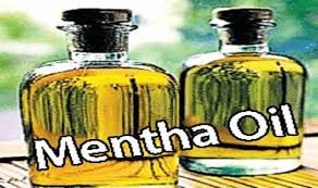 Mentha Oil Price Jse Top 40 Share Price