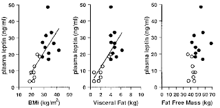 Basal Plasma Leptin Levels As A Function Of Bmi Visceral