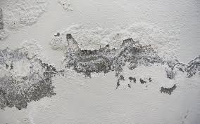 How To Paint Damp Walls Pimasa