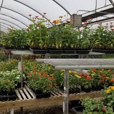 Top 10 Best Nurseries Gardening Near