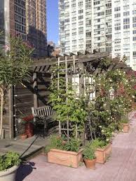 Urban Gardening The Ultimate Guide To