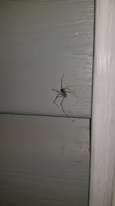 Id Central Alabama They Are Keeping My Front Door Safe