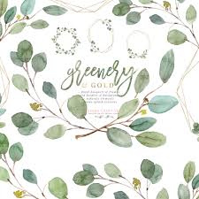 Greenery And Gold Wedding Invitation Graphics Eucalyptus Branch Leaves Clipart For Invitations Logo Stationery Welcome Signs