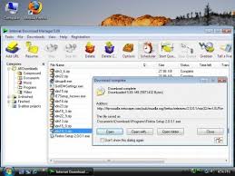 However, i cannot use it while using firefox, why? Download Internet Download Manager 6 03 Beta The Tech Journal