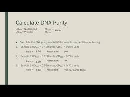 nucleic acid purity yield calculation