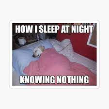 How I Sleep at Night Knowing Nothing Meme Funny Labrador Dog in Bed  Sleeping Poster for Sale by fomodesigns | Redbubble