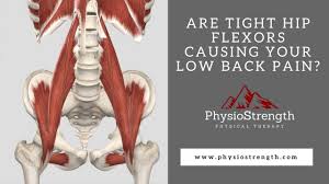 2 tight muscles affecting your low back
