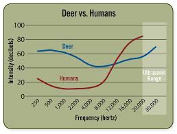 Understanding Deer Sight And Hearing Grand View Outdoors