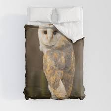 Barn Owl Comforter By Davehare Society6