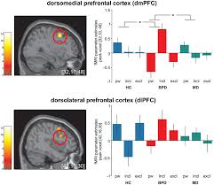 Frontiers Neural Correlates Of Social Inclusion In