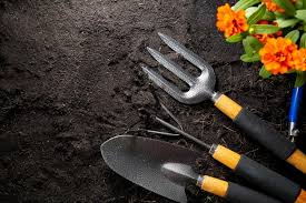 Premium Photo Gardening Tools For
