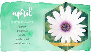 Birth Month Flowers And Their Meanings