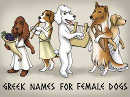 greek dog names that make epic female