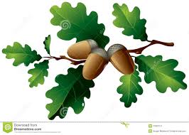 53 You Have To Try Images Of Acorns And Oak Leaves