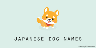 anese dog names for cool dogs