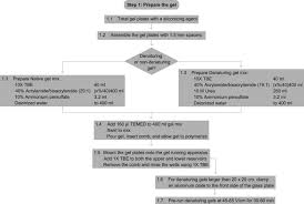 rna purification by preparative