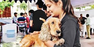 Our pet hospitals are providing reduced services and have different procedures in place to keep everyone safe. Hyderabad Pets Get Shots At Free Vaccination Camps The New Indian Express