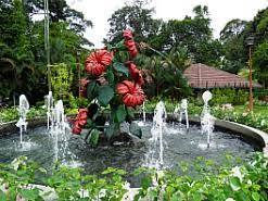 See more ideas about hibiscus, orchids, flowers. Kuala Lumpur Orchid Garden