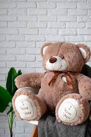 teddy bear with soft toy images free