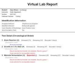 lab report screen