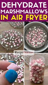 dehydrated marshmallows in air fryer