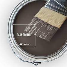 Dark Truffle Flat Exterior Paint