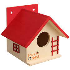 Amazon.com: PETOYA Bird House for Balcony and Garden Hanging for Sparrow  and All Small Birds Birds Nest Made with Russian ply Wooden -BVN5 (1 Nos) :  Patio, Lawn & Garden