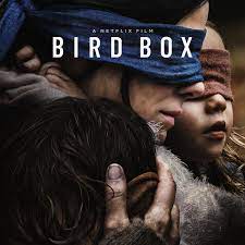 It's some creepy stuff zombies. Netflix S Horror Movie Bird Box Looks Like A Quiet Place Reversed The Verge