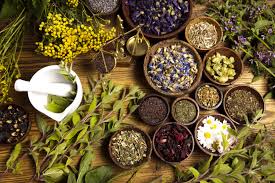 herbal liniments and poultices for your