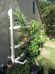 20  Most Easy Diy PVC Ideas To Have A Garden for Small Space