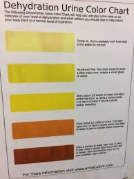 If You Need A Dehydration Urine Color Chart Look No Further