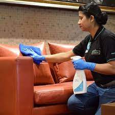sofa carpet cleaning services dry