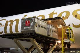The news — the first results from any. In Pictures Pfizer Covid 19 Vaccine Arrives In Dubai On Emirates Flight News Photos Gulf News