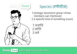 species meaning in hindi with picture