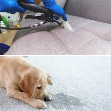 carpet cleaning farmington nm aladdin