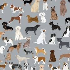 dog breeds fabric wallpaper and home