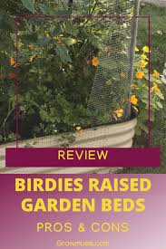 Stop Wasting Time Birs Garden Beds