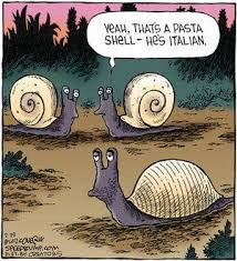 Image result for snail jokes
