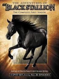 The black stallion, known as the black or shêtân, is the title character from author walter farley's bestselling series about the arab stallion and his young owner, alec ramsay. The Adventures Of The Black Stallion Wikipedia