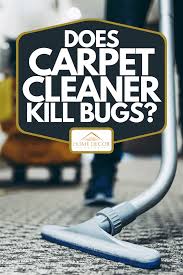does carpet cleaner kill bugs