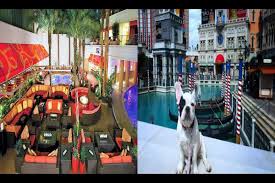 top pet friendly hotels in las vegas