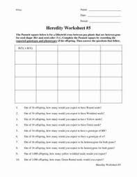 Fill it out and determine the phenotypes and proportions of offspring. 10 Pinterest Resource Board Abshire Ideas Teaching Biology Biology Lessons Science Lessons