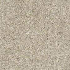 graystone amazing greige carpet