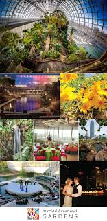 luxe location myriad botanical gardens