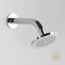 Astra Walker Icon Wall Shower Arm And