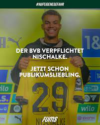 Borussia Dortmund: Jermaine Nischalke - nach sechs Minuten schon  Fanliebling | Viva a emoção do jogo com a jogo patriotas - vitis.sk