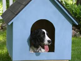 Diy Doghouse How To Build A Simple A