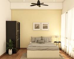 Light Coloured Wall Paint Design For